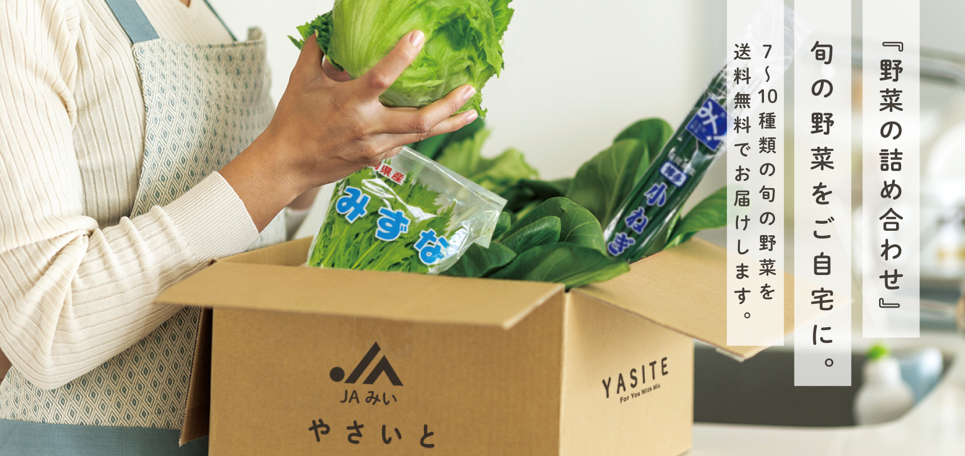 野菜直販サイト「やさいと」の人気商品 野菜の詰め合わせセット