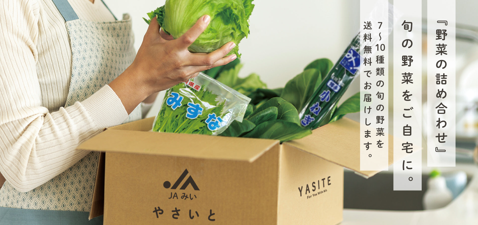 野菜直販サイト「やさいと」の人気商品　野菜の詰め合わせセット