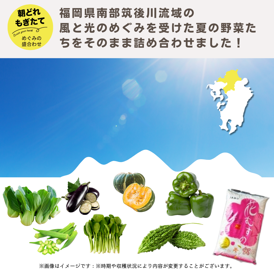 JAみい野菜直販サイト「やさいと」夏のめぐみの詰め合わせ