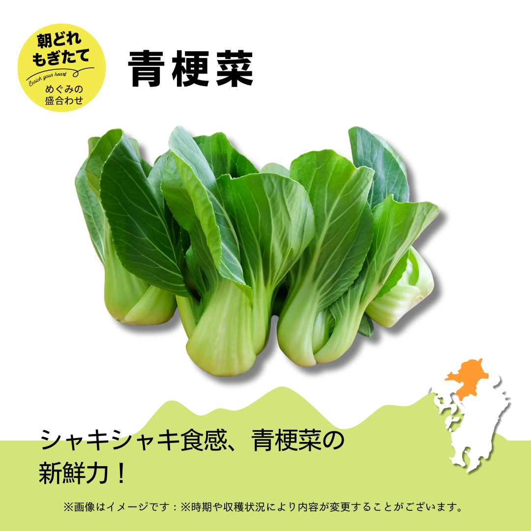 JAみい野菜直販サイト「やさいと」夏のめぐみの詰め合わせ 青梗菜