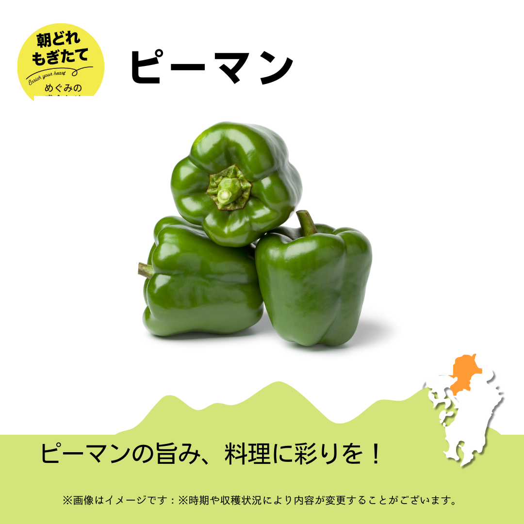 JAみい野菜直販サイト「やさいと」夏のめぐみの詰め合わせ ピーマン
