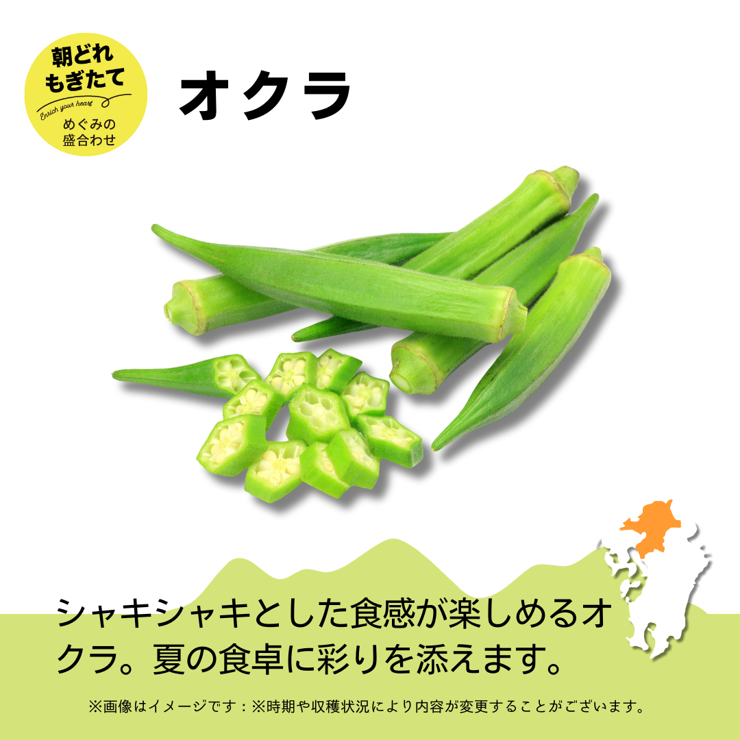 JAみい野菜直販サイト「やさいと」夏のめぐみの詰め合わせ オクラ