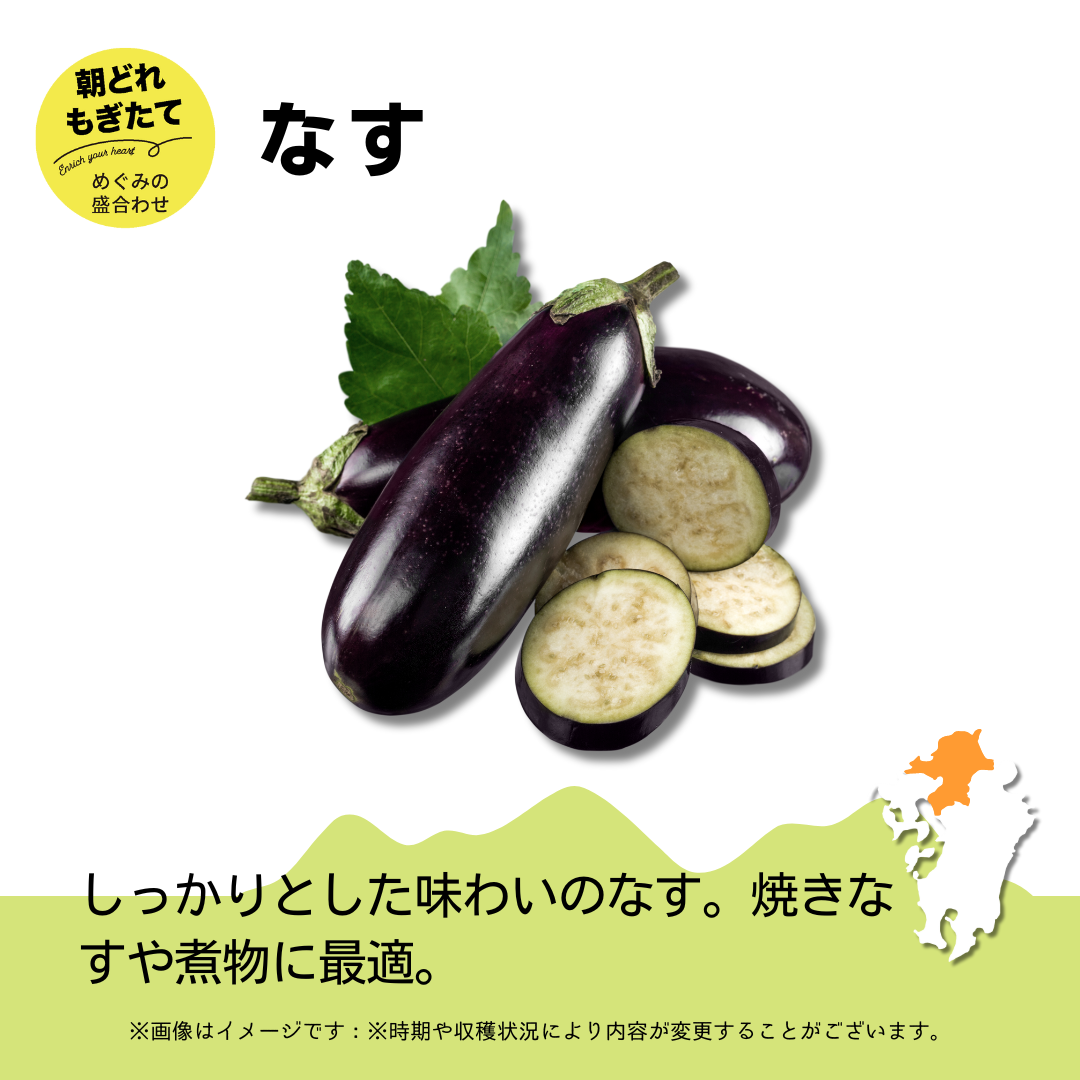 JAみい野菜直販サイト「やさいと」夏のめぐみの詰め合わせ なす