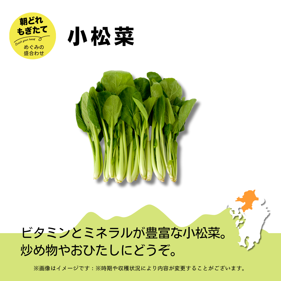 JAみい野菜直販サイト「やさいと」夏のめぐみの詰め合わせ 小松菜
