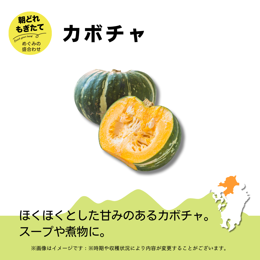 JAみい野菜直販サイト「やさいと」夏のめぐみの詰め合わせ カボチャ