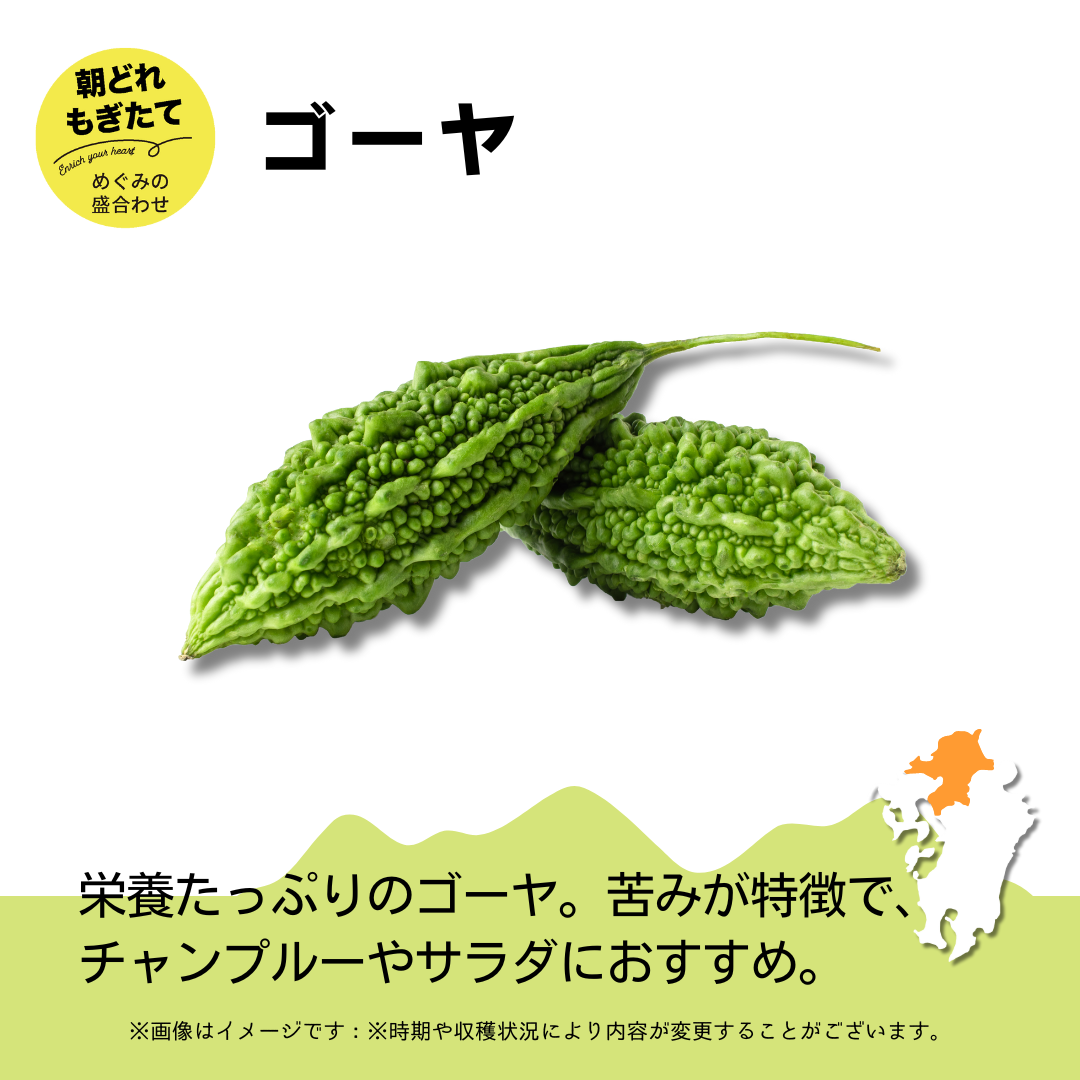 JAみい野菜直販サイト「やさいと」夏のめぐみの詰め合わせ ゴーヤ