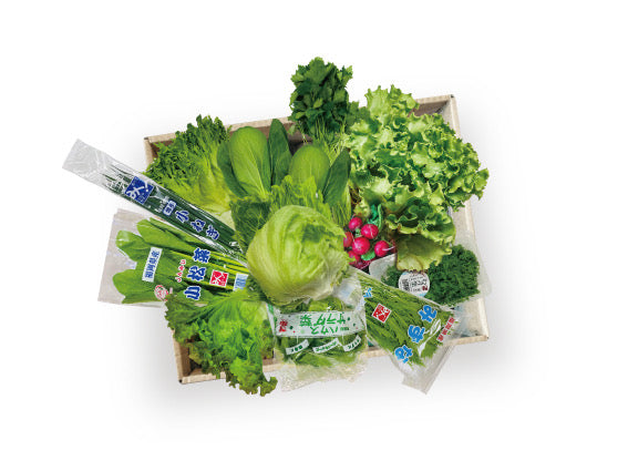 野菜直販サイト「やさいと」の新鮮なフレッシュ野菜　野菜の詰め合わせセット