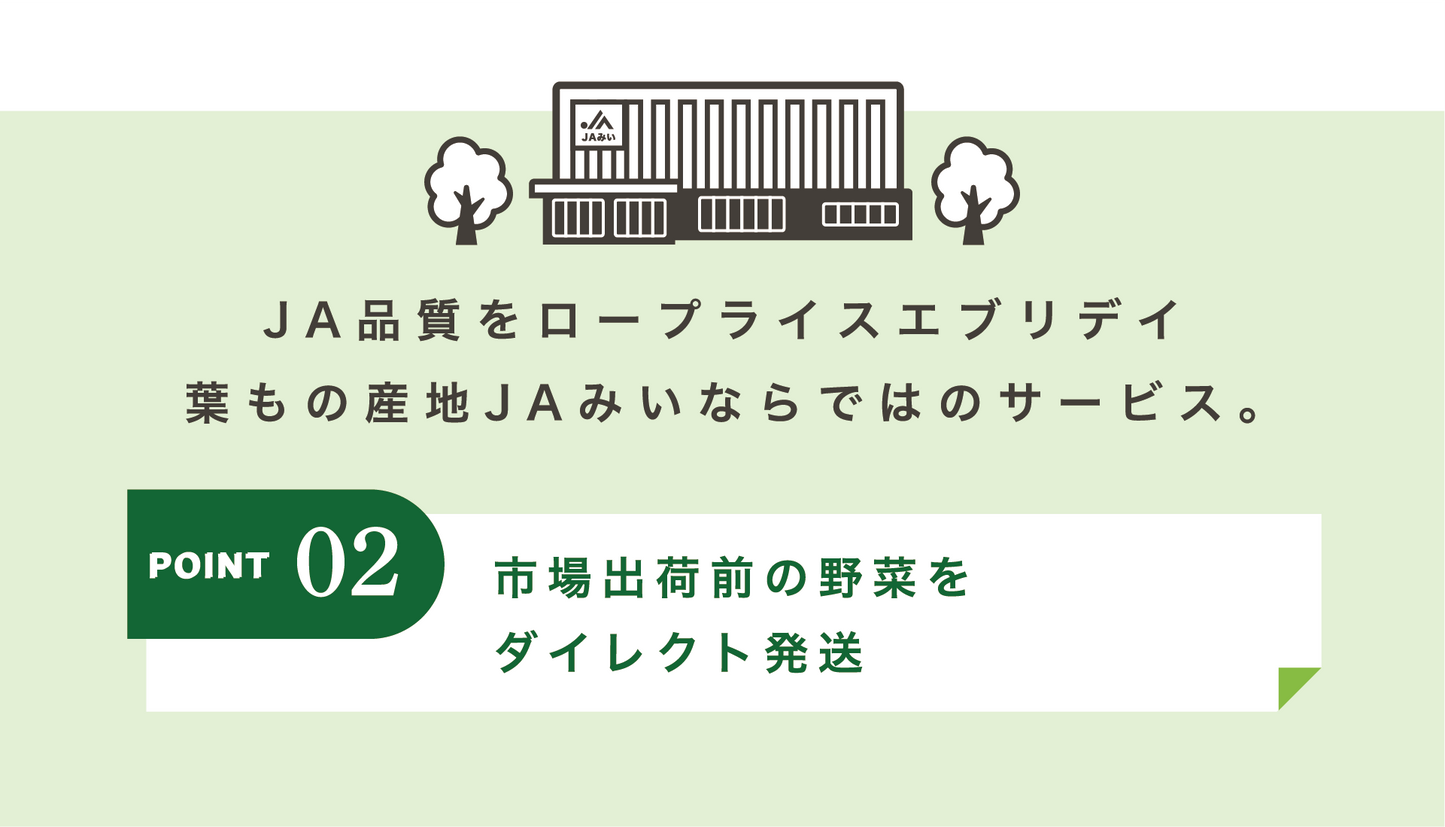 市場出荷前の野菜をダイレクト発送