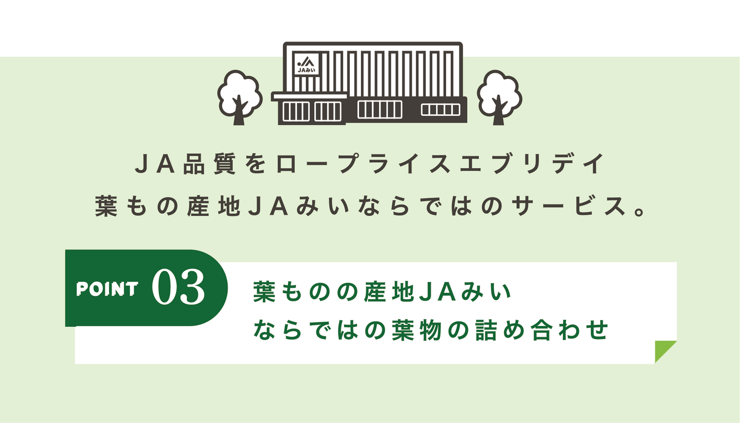 葉物の産地JAみいならでわの葉物の詰め合わせ