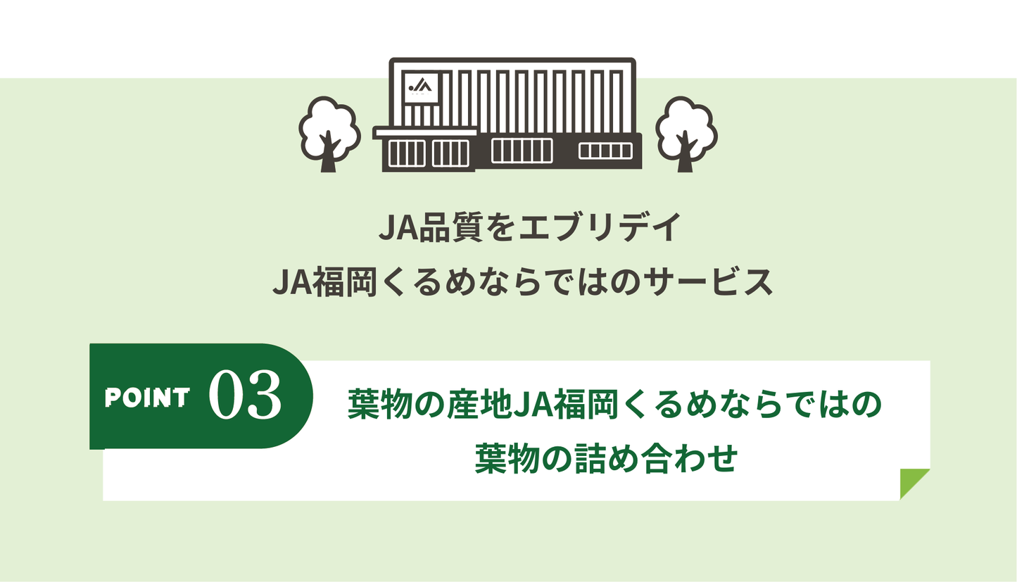 葉物の産地JA福岡くるめならでわの葉物の詰め合わせ