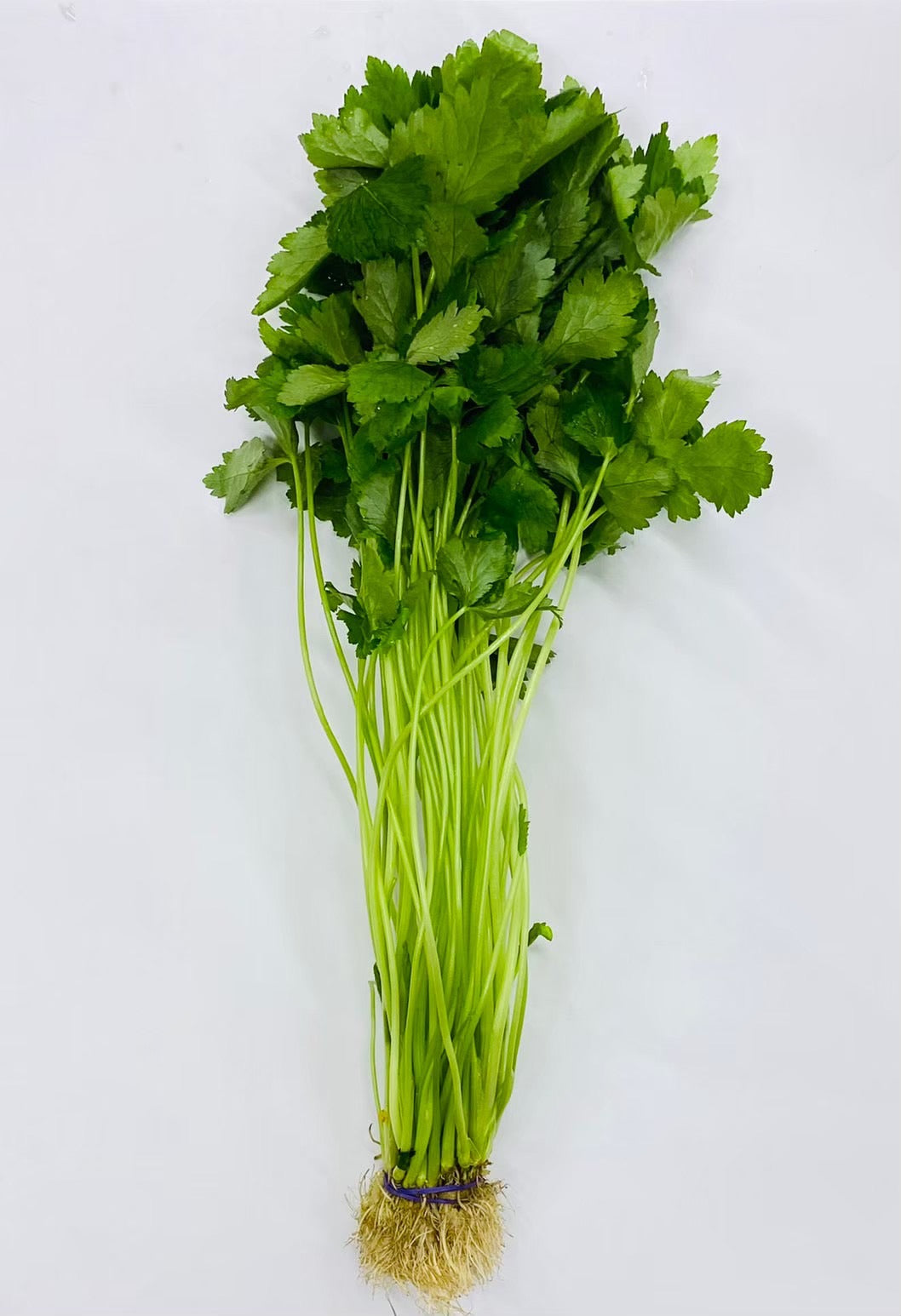 野菜直販サイト「やさいと」の新鮮なフレッシュ野菜 三葉 75gx20束(容量 1.5kg)