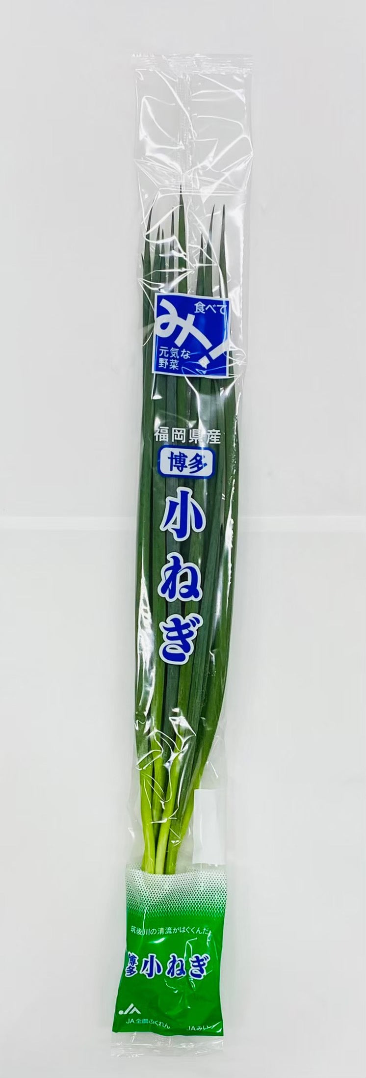 周年野菜】博多小ねぎ 100ｇｘ30束（容量 3ｋｇ） – JAみい 野菜直販サイト「やさいと」