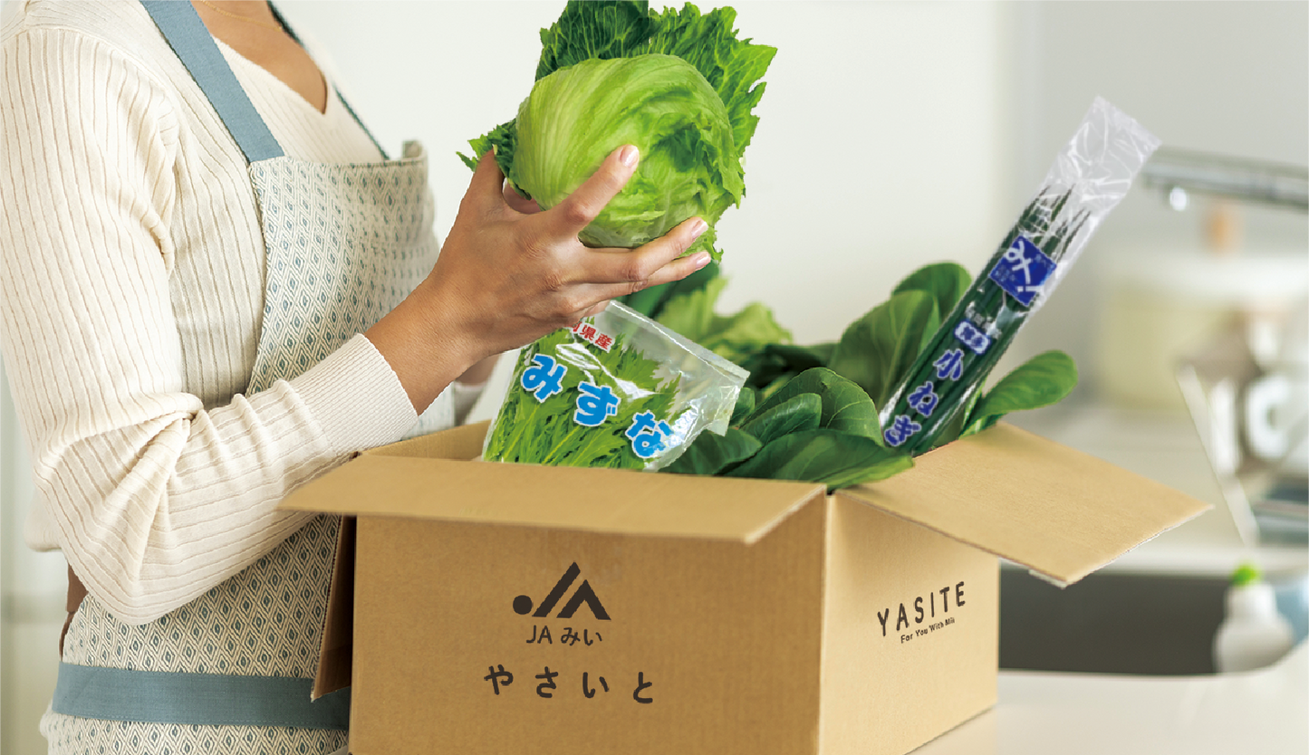 野菜直販サイト「やさいと」の新鮮なフレッシュ野菜 野菜の詰め合わせセット