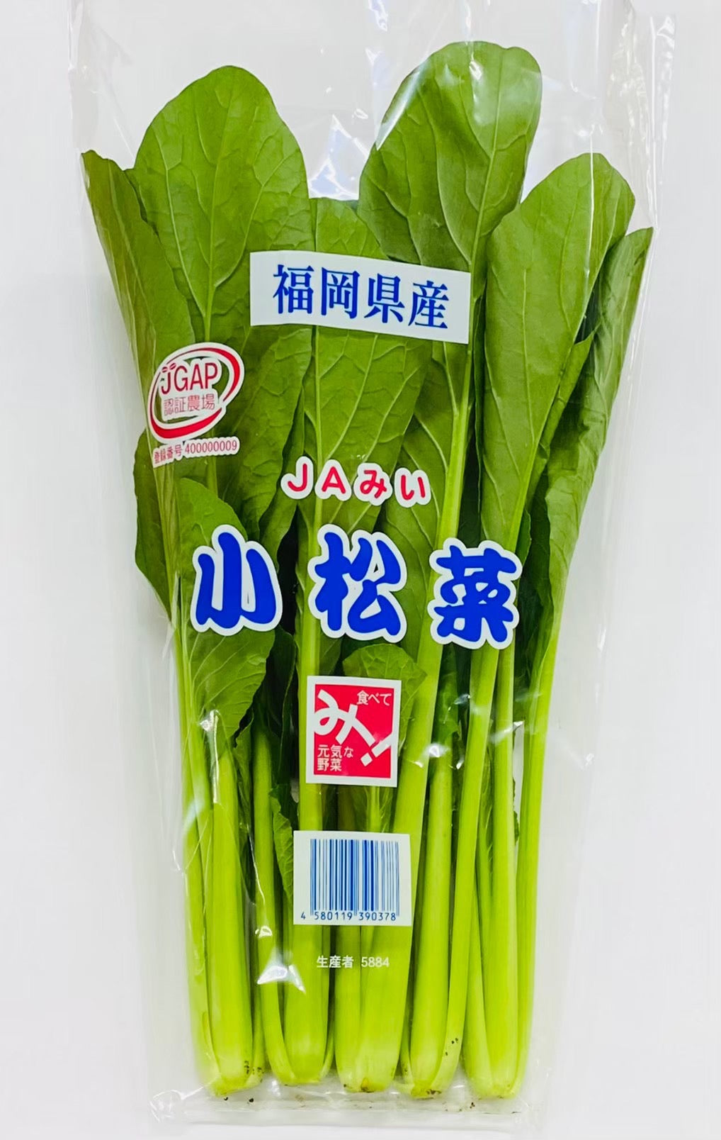 【周年野菜】小松菜　200ｇｘ20袋（容量　４ｋｇ）