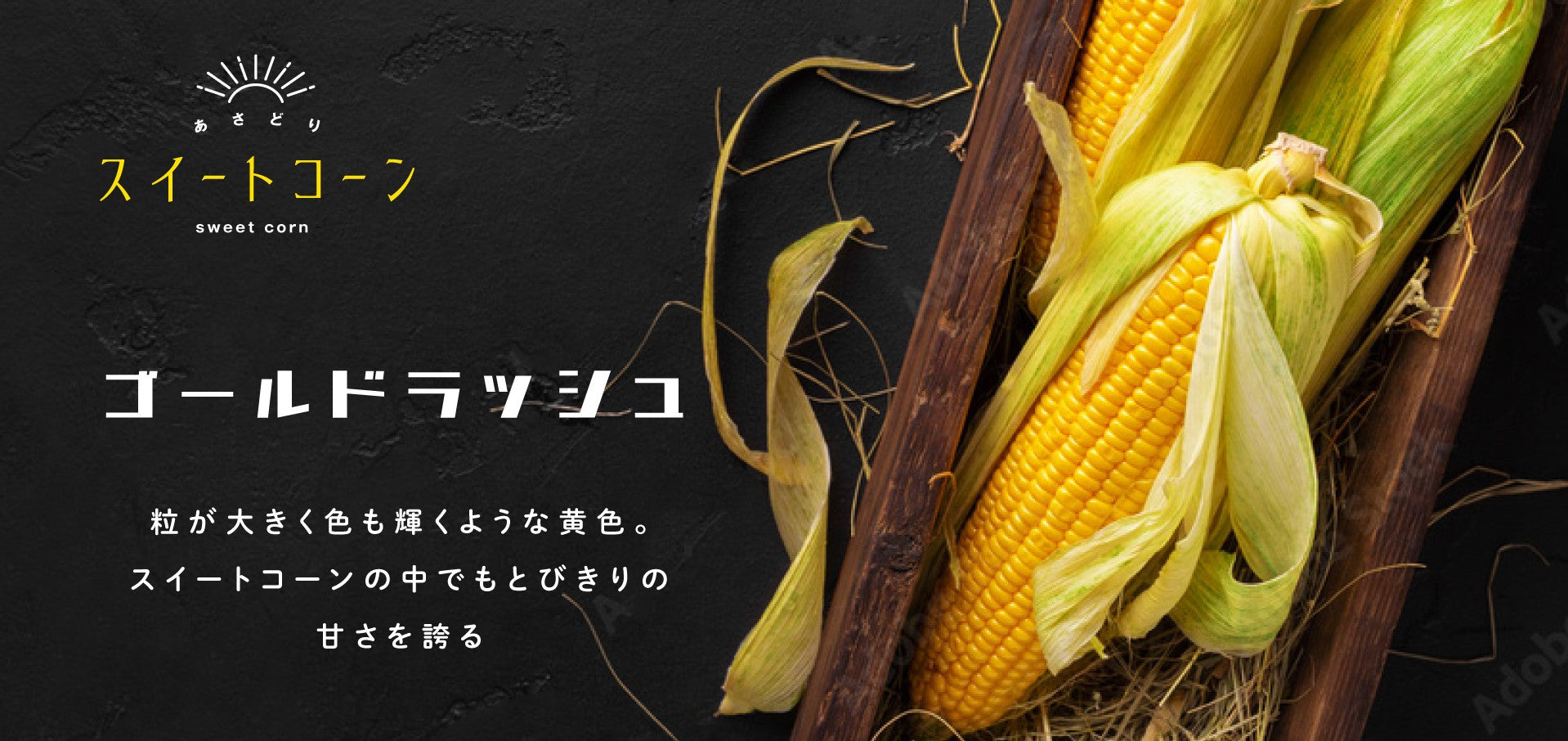 野菜直販サイト「やさいと」の新鮮なフレッシュスイートコーン　ゴールドラッシュ
