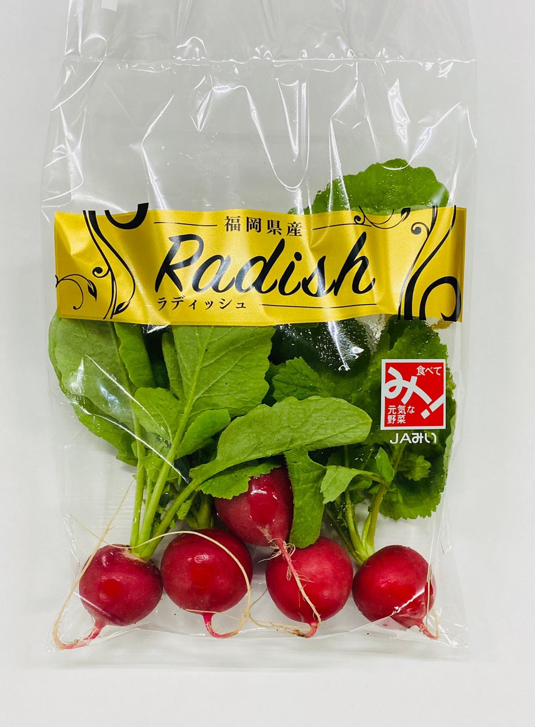 野菜直販サイト「やさいと」の新鮮なフレッシュ野菜　ラディッシュ　50ｇｘ10袋（容量　500ｇ）