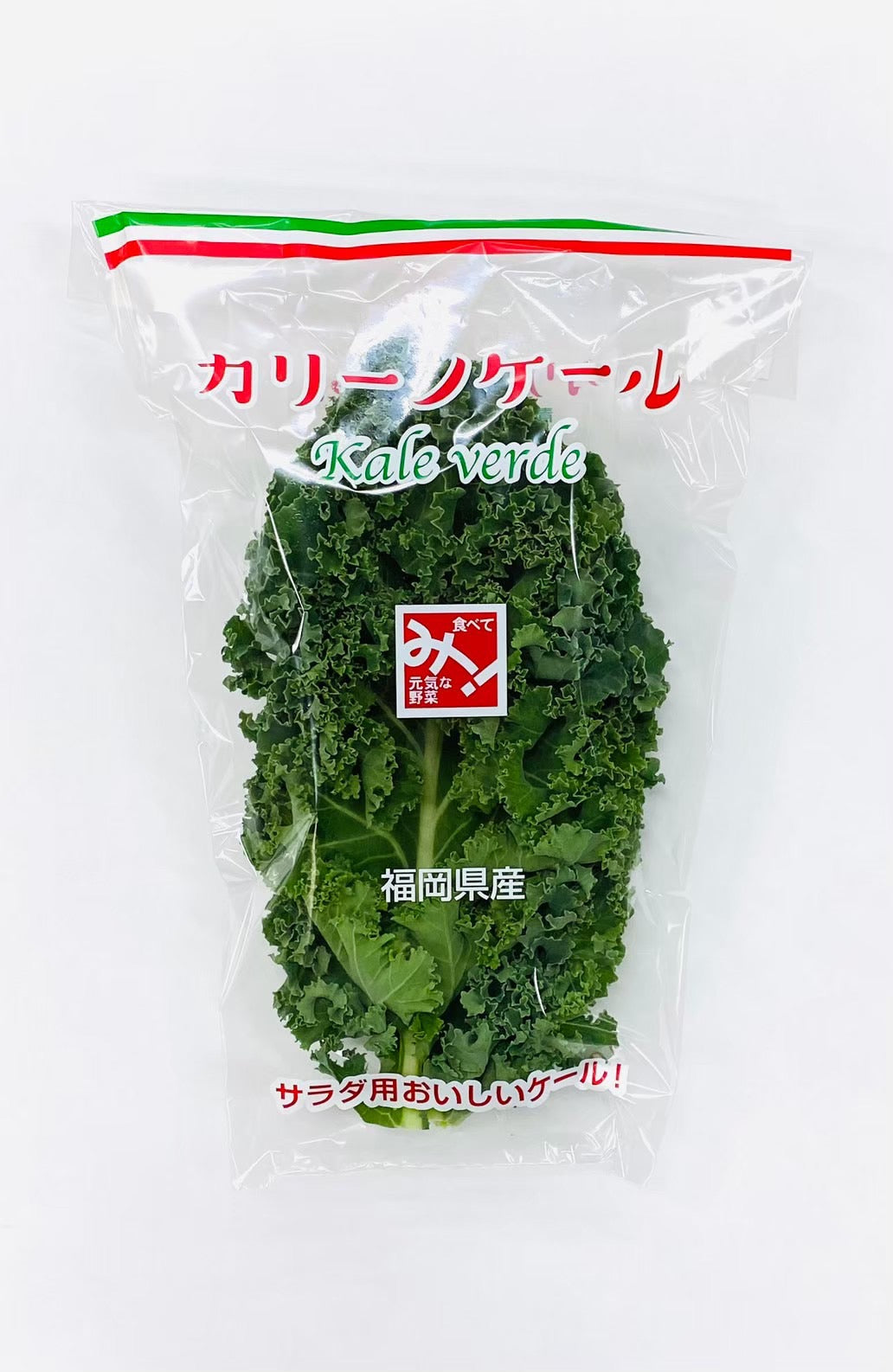 野菜直販サイト「やさいと」の新鮮なフレッシュ野菜 カリーノケール　50gｘ10袋（容量　500ｇ）