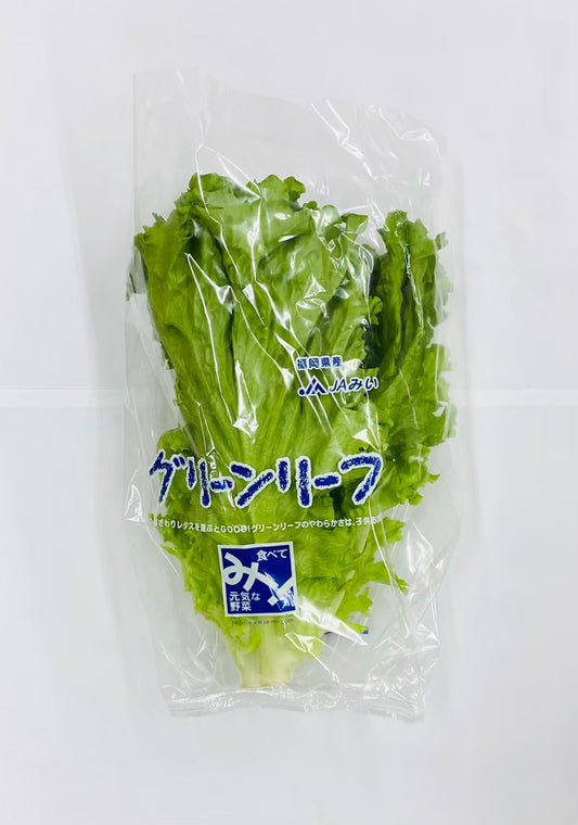 野菜直販サイト「やさいと」の新鮮なフレッシュ野菜 グリーンリーフ（袋）　15玉　（容量　4kg）