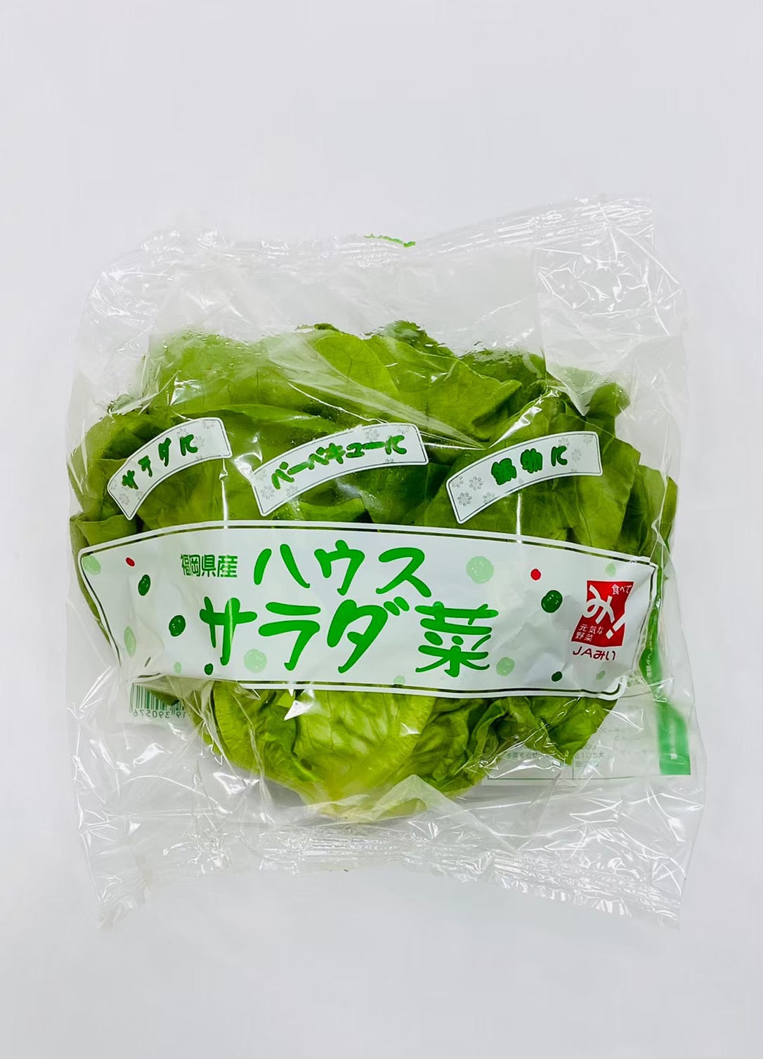 野菜直販サイト「やさいと」の新鮮なフレッシュ野菜　ハウスサラダ菜　83ｇｘ12袋（容量　1ｋｇ）